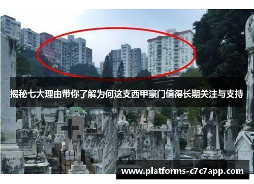 揭秘七大理由带你了解为何这支西甲豪门值得长期关注与支持