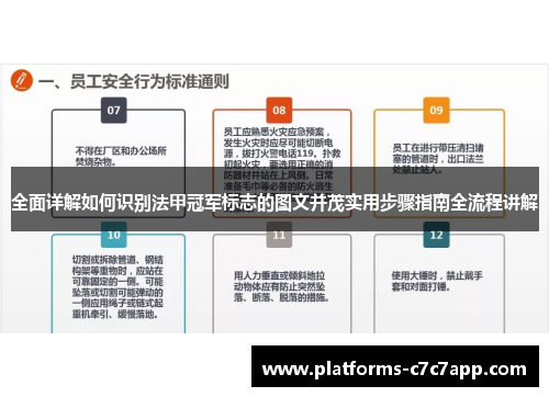 全面详解如何识别法甲冠军标志的图文并茂实用步骤指南全流程讲解