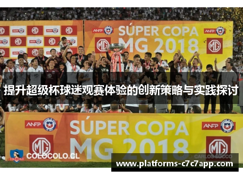 提升超级杯球迷观赛体验的创新策略与实践探讨