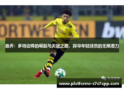 桑乔：多特边锋的崛起与天赋之路，探寻年轻球员的无限潜力