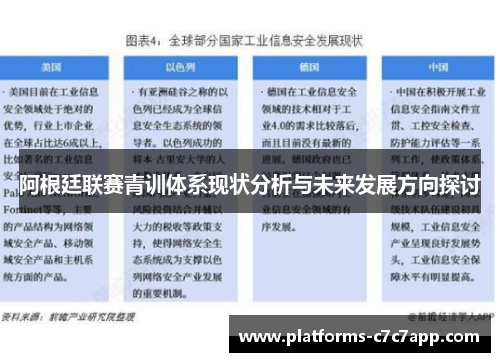 阿根廷联赛青训体系现状分析与未来发展方向探讨