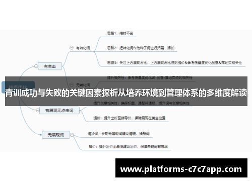 青训成功与失败的关键因素探析从培养环境到管理体系的多维度解读